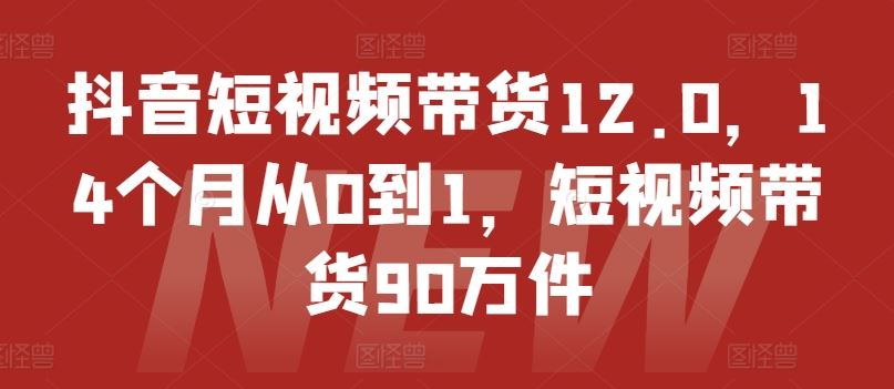 抖音短视频带货12.0,14个月从0到1,短视频带货90万件-聊项目