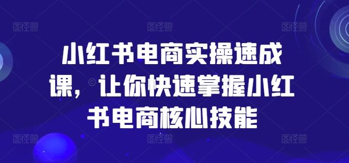 小红书电商实操速成课,让你快速掌握小红书电商核心技能-聊项目