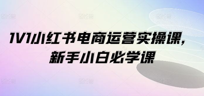 1V1小红书电商运营实操课,新手小白必学课-聊项目