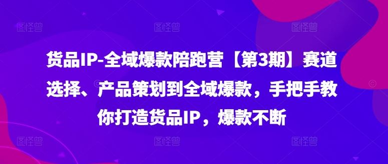货品IP全域爆款陪跑营【第3期】赛道选择、产品策划到全域爆款,手把手教你打造货品IP,爆款不断-聊项目