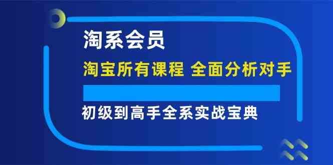 淘系会员初级到高手全系实战宝典【淘宝所有课程,全面分析对手】-聊项目