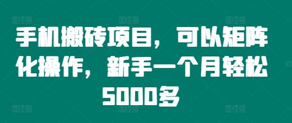 手机搬砖项目,可以矩阵化操作,新手一个月轻松5000多-聊项目