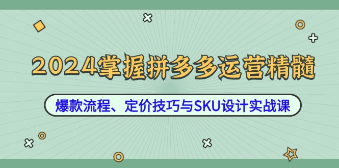 2024掌握拼多多运营精髓:爆款流程、定价技巧与SKU设计实战课-聊项目