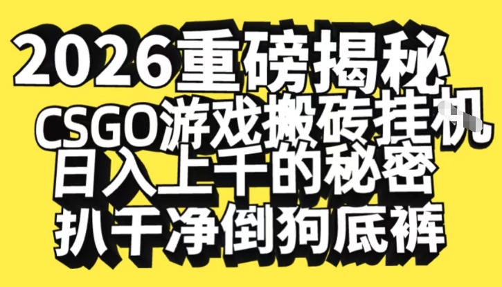 2026开年重磅解密，CSGO游戏搬砖挂G日入1k+的秘密，把倒狗的底裤扒干【揭秘】-聊项目