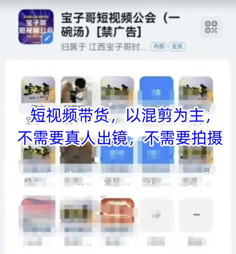 宝子哥头部团队短视频带货，以混剪为主，不需要真人出镜，不需要拍摄【更新11月】-聊项目