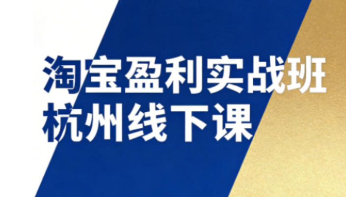 淘宝盈利实战班杭州线下课12月26-28日(音频+字幕)，帮你掌握SOP流程+12门核心技术-聊项目