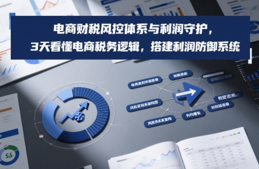 电商财税风控体系与利润守护，3天看懂电商税务逻辑，搭建利润防御系统-聊项目