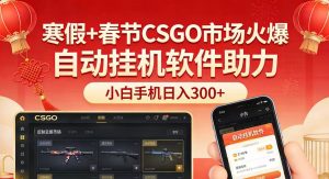 寒假+春节CSGO市场火爆，配合游戏自动挂机软件，小白只用一台手机也可日入300+-聊项目