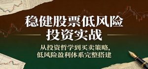 稳健股票低风险投资实战：从投资哲学到买卖策略，低风险盈利体系完整搭建-聊项目