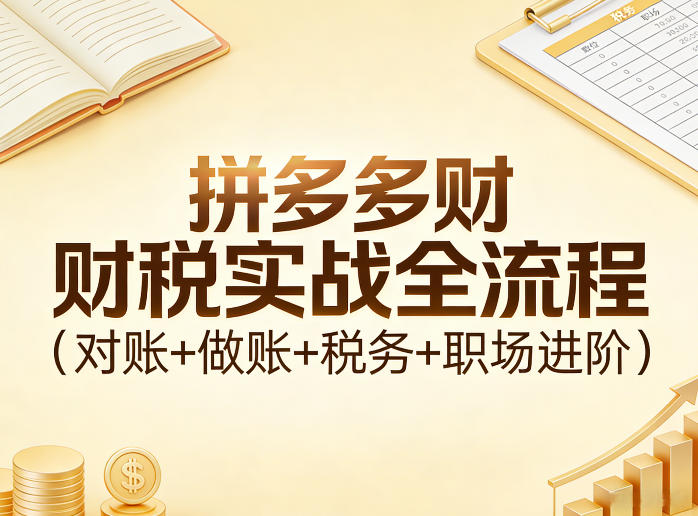 拼多多财税实战全流程(对账+做账+税务+职场进阶)-聊项目