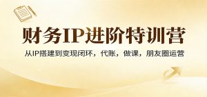 财务IP进阶特训营：从IP搭建到变现闭环，代账，做课，朋友圈运营-聊项目