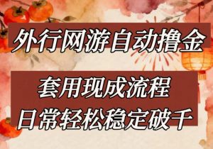 外行网游全自动撸金，套用现成流程，日常轻松稳定破千【揭秘】-聊项目