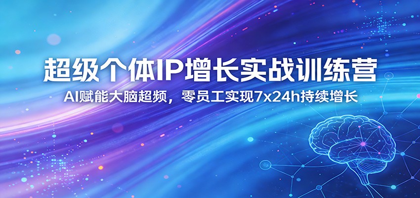 超级个体IP增长实战训练营：AI赋能大脑超频，零员工实现7x24h持续增长(更新)-聊项目