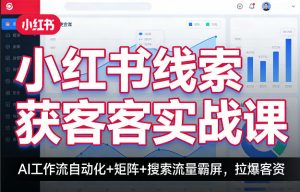 小红书线索获客实战课，AI工作流自动化+矩阵+搜索流量霸屏，拉爆客资-聊项目