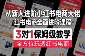 从新人进阶小红书电商大佬,红书电商全面进阶课程,3对1保姆级教学,全方位玩透红书电商-聊项目