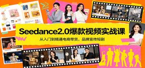 Seedance2.0爆款视频实战课:从入门到精通电商带货,品牌宣传短剧-聊项目