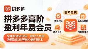 拼多多高阶盈利年费会员(更新4月19-聊项目