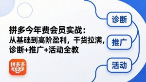 拼多多年费会员实战(更新26年4月24-聊项目
