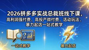 2026拼多多实战总裁班线下课，高利润强付费、高投产微付费、活动玩法、暴力起店一站式教学-聊项目