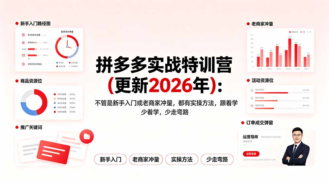 拼多多实战特训营(更新2026年-聊项目