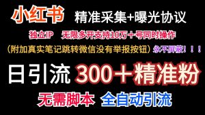 小红薯精准采集+无限曝光+真实笔记跳转微信,永不屏蔽(日引300+精准粉)-聊项目
