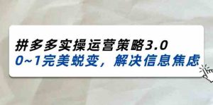2024-2025拼多多实操运营策略3.0,0~1完美蜕变,解决信息焦虑(38节)-聊项目