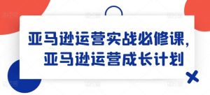 亚马逊运营实战必修课,亚马逊运营成长计划-聊项目