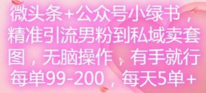 微头条+公众号小绿书,精准引流男粉到私域卖套图,无脑操作,有手就行,每单99-200,每天5单-聊项目