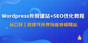 WordPress外贸建站+SEO优化教程,从0到1搭建可获得询盘外贸网站(57节课)-聊项目