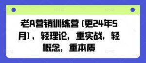 老A营销训练营(更24年7月),轻理论,重实战,轻概念,重本质-聊项目