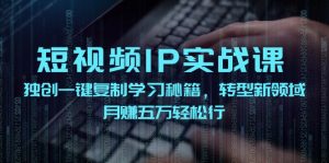 （12193期）短视频 IP实战课，独创一键复制学习秘籍，转战新领域，月赚五万轻松行-聊项目