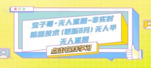 宝子哥·无人直播-非实时防风技术(更新8月)无人半无人直播-聊项目