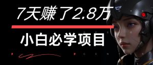7天赚了2.8万!每单利润最少500+,轻松月入7万+小白有手就行-聊项目