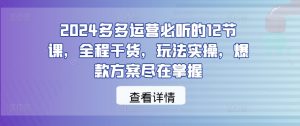 2024多多运营必听的12节课,全程干货,玩法实操,爆款方案尽在掌握-聊项目