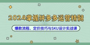 2024掌握拼多多运营精髓:爆款流程、定价技巧与SKU设计实战课-聊项目