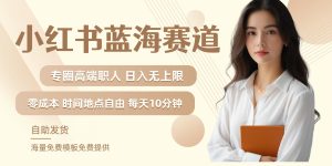 小红书蓝海赛道,圈中高端职场人,月入无上限,可矩阵,内含私域实操教程!-聊项目