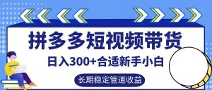 拼多多短视频带货日入300+,实操账户展示看就能学会-聊项目