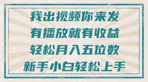 (13667期)不剪辑不直播不露脸,有播放就有收益,轻松月入五位数,新手小白轻松上手-聊项目