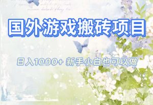 国外游戏全自动搬砖项目,日入10张,新手小白也可做,项目红利期,先搞先吃肉【揭秘】-聊项目