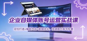 企业自媒体账号运营实战课:定位打造+ 爆款内容+数据优化,快速提升账号权重-聊项目