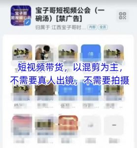 宝子哥头部团队短视频带货，以混剪为主，不需要真人出镜，不需要拍摄【更新11月】-聊项目
