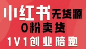 小红书无货源0粉电商课，开店准备、选品策略、笔记撰写、视频剪辑、数据分析、账号打造、资料文档(更新)-聊项目
