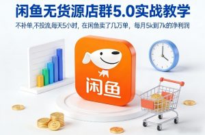 闲鱼无货源店群5.0实战教学，不补单，不投流，每天5小时，在闲鱼卖了几万单，每月5k到7k的净利润-聊项目