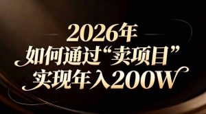 站在2026年的十字路口：一个普通人如何通过卖项目实现年入200万-聊项目