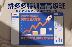 拼多多特训营高阶班，独家玩法赋能，突破运营天花板(更新26年2月)-聊项目