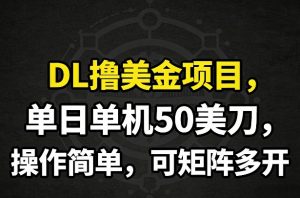 DL撸美金项目，单日单机50美刀，操作简单，可矩阵多开-聊项目